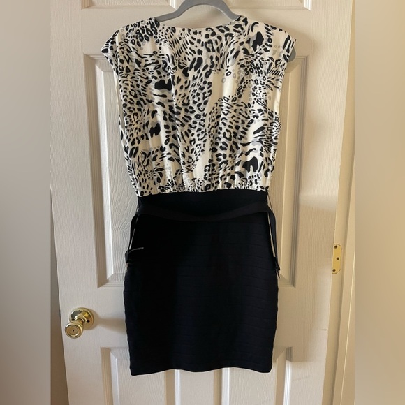 Express Dress • Size Small - Picture 3 of 6